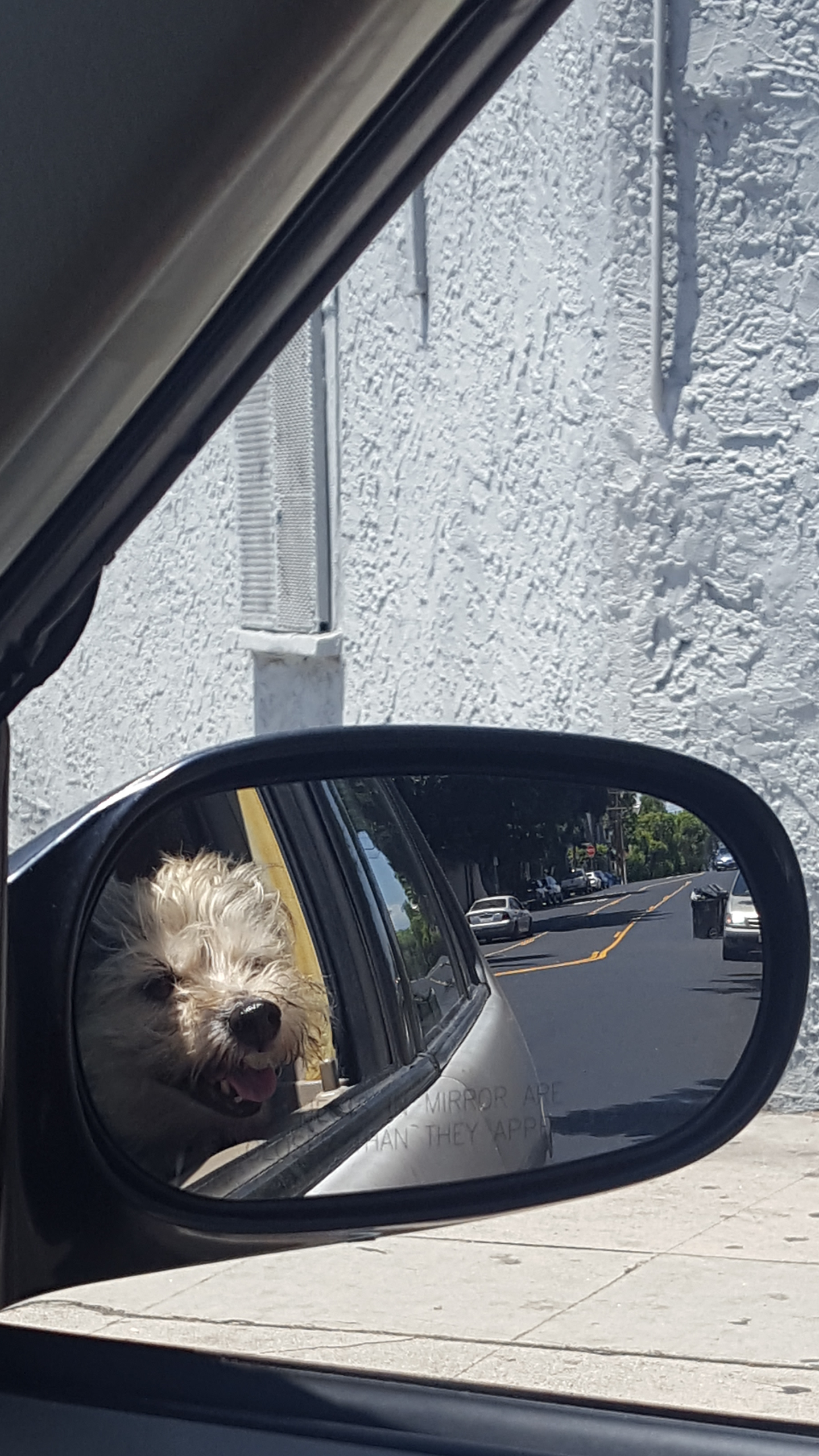 Screenshot_20190726-135752