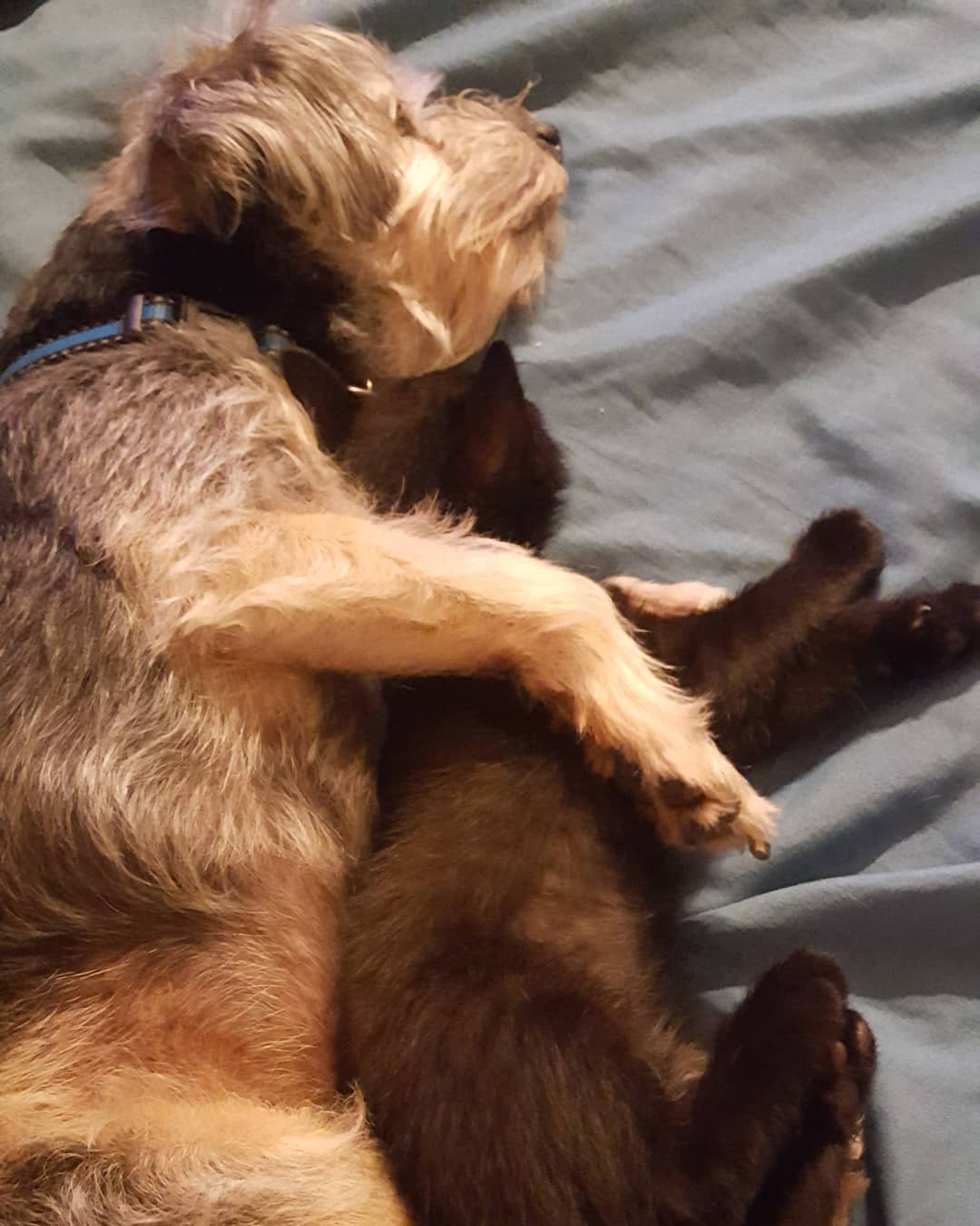 IMG_20200624_223605_927