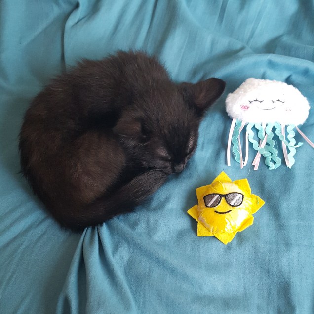 IMG_20200629_202721_689