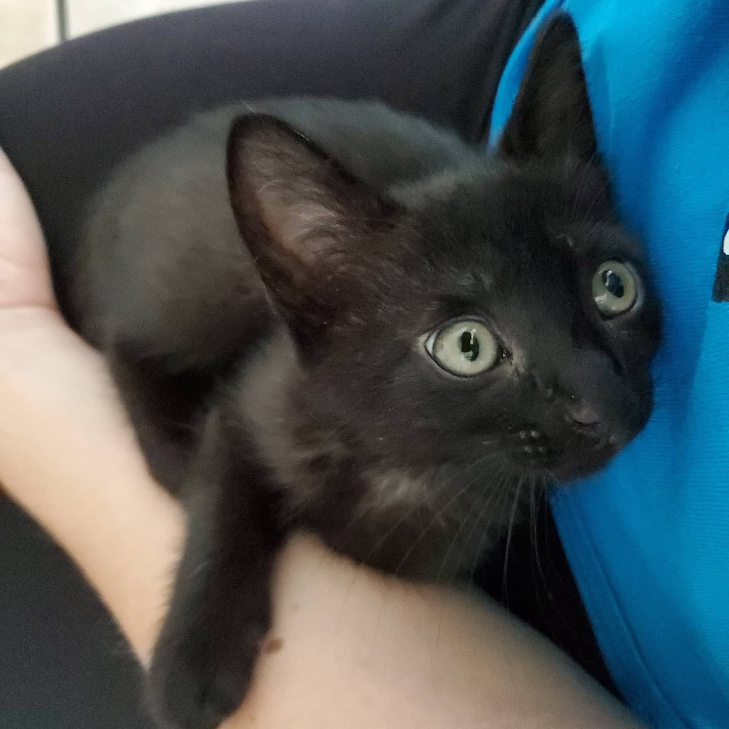 IMG_20200703_174231_905