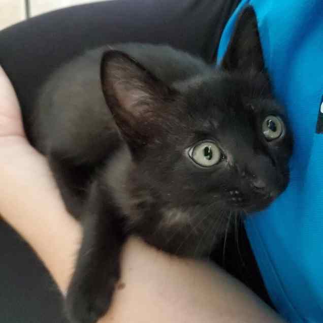 IMG_20200703_174231_905