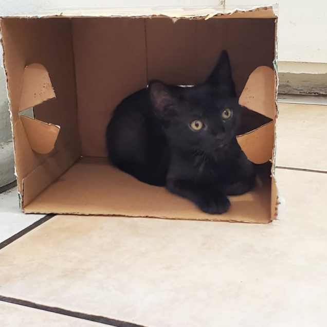 IMG_20200707_202209_283