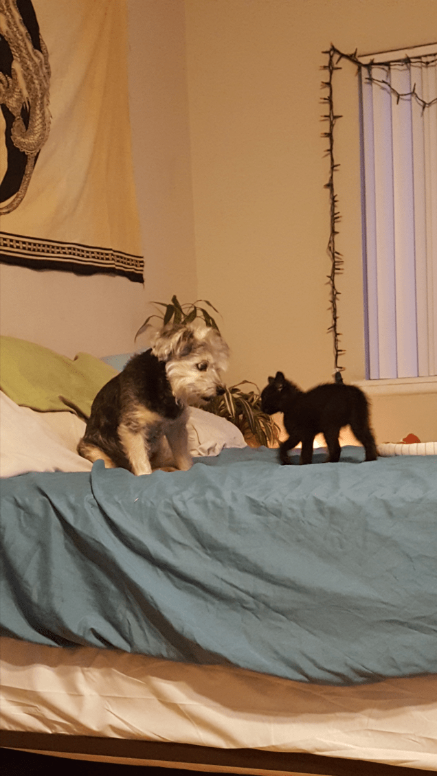 Screenshot_20200618-210007