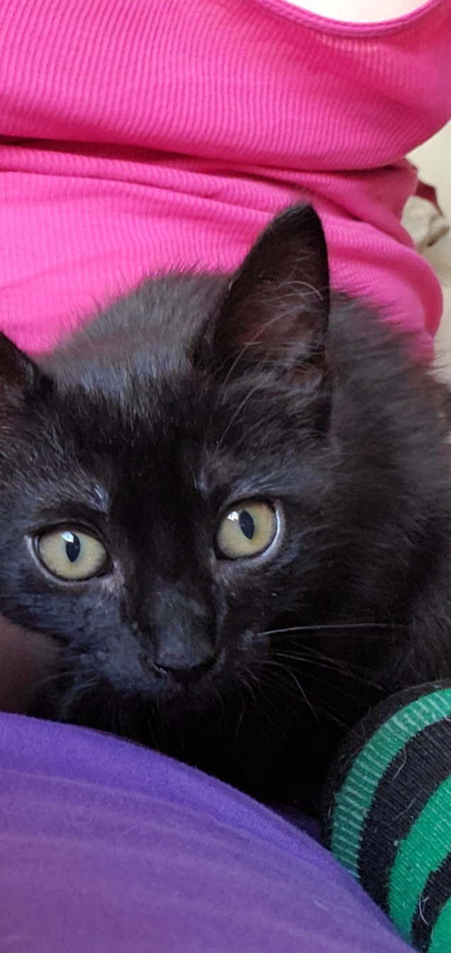 Screenshot_20200713-181615_Gallery