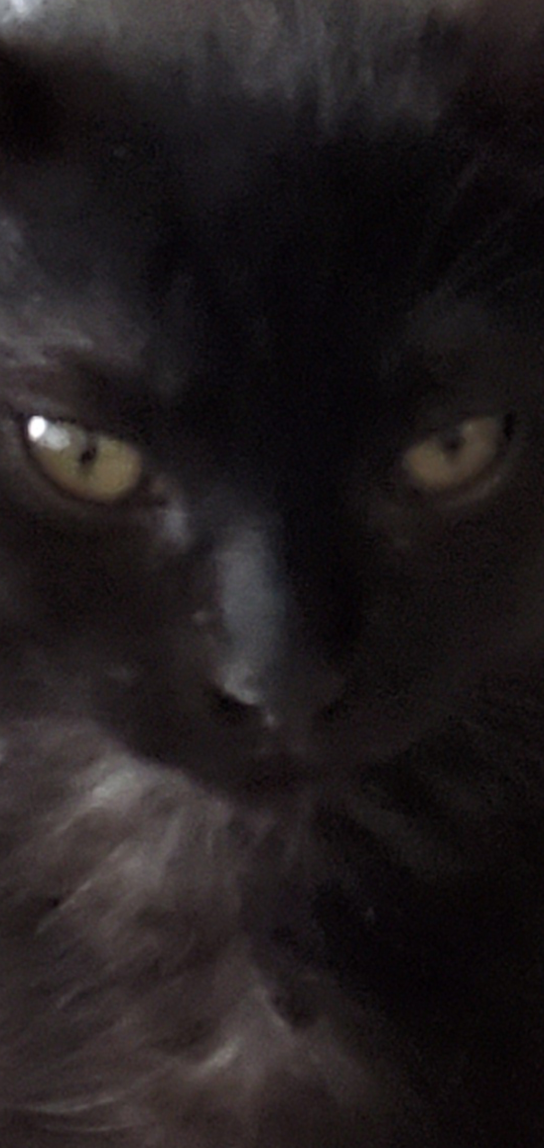 Screenshot_20200714-190713_Gallery